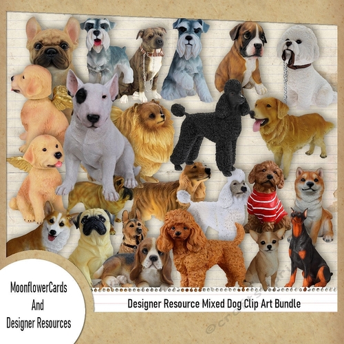 Designer Resource Mixed Dog Bundle