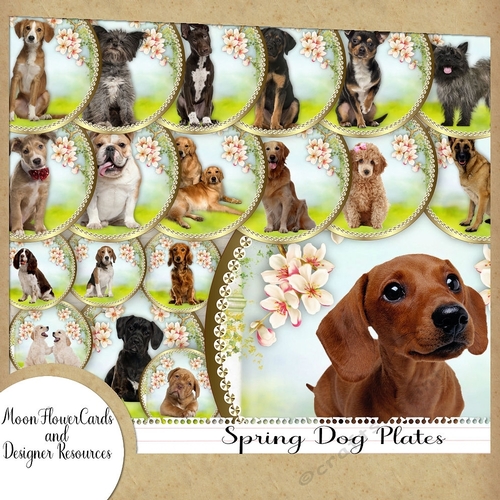 Spring Dog Plates 