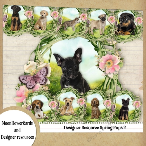 Designer Resource Spring Pups 2