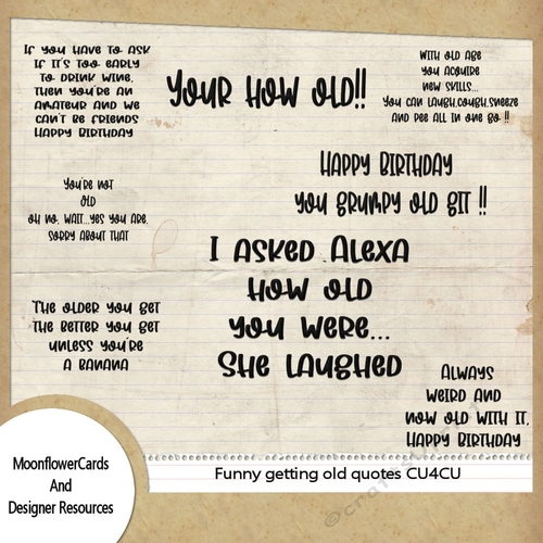 Getting Old Birthday Quotes 