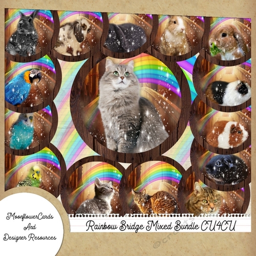 Designer Resource Rainbow Bridge Mixed Bundle 