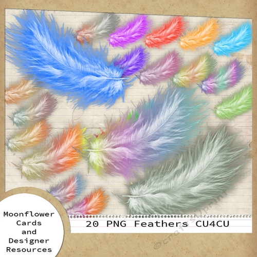 Designer Resource Feathers