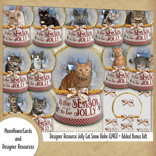 Designer Resource Jolly Cat Snow Globes