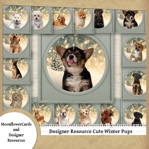 Designer Resource Cute Winter Pups 
