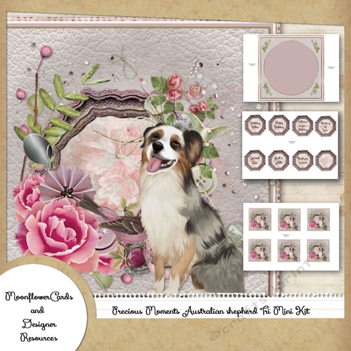 Precious Moments Australian shepherd Mixed Colour Mini Kit