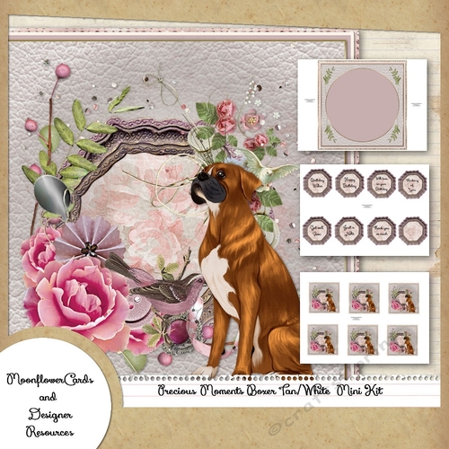 Precious Moments Boxer Tan/White  Mini Kit