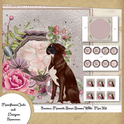 Precious Moments Boxer Brown/White  Mini Kit