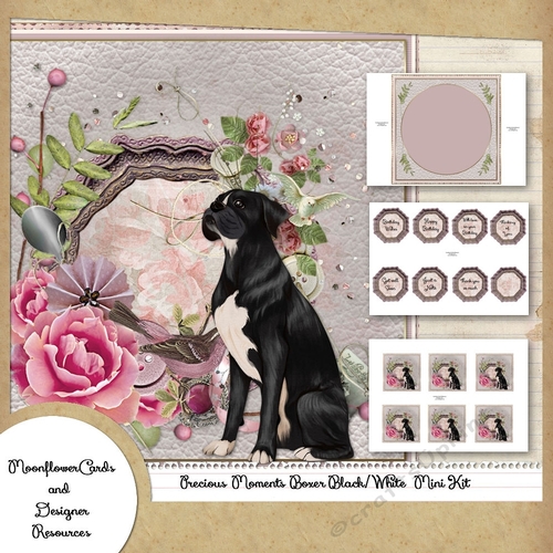 Precious Moments Boxer Black/White  Mini Kit