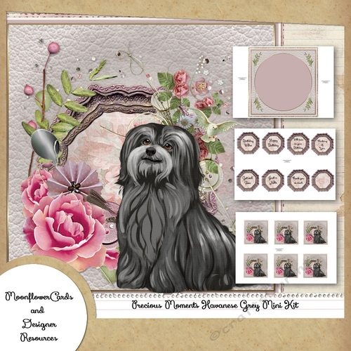 Precious Moments Havanese Grey Mini Kit