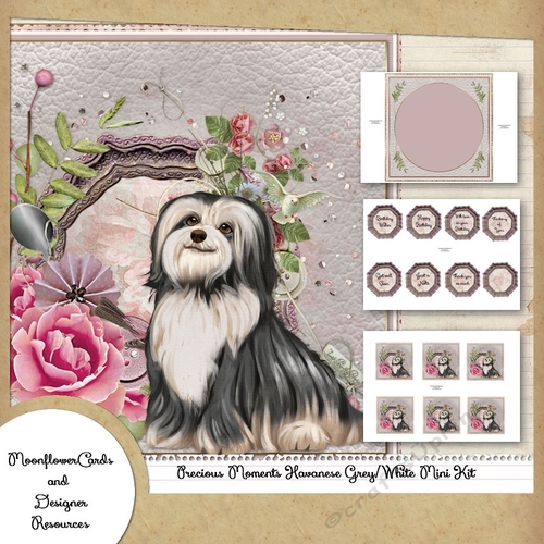 Precious Moments Havanese Grey/White Mini Kit