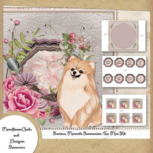 Precious Moments Pomeranian Tan Mini Kit