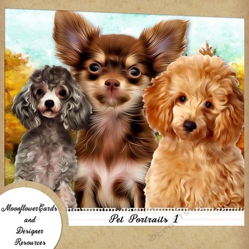 Dog Portraits 1