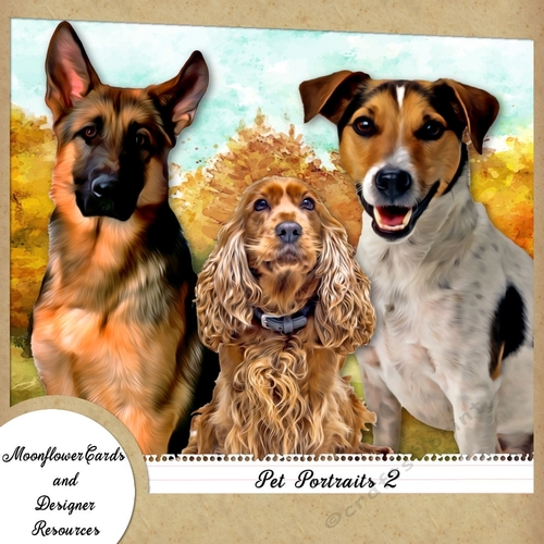 Dog Portraits 2