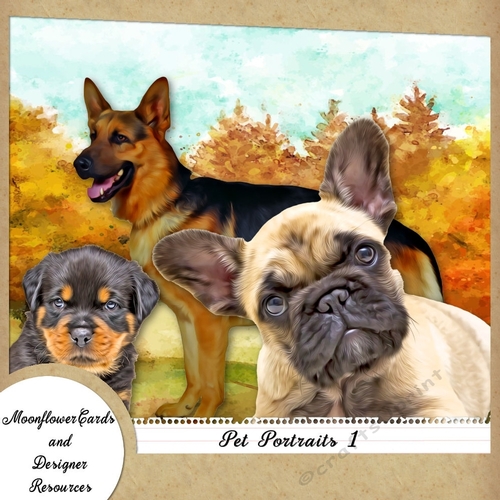 Dog Portraits 3