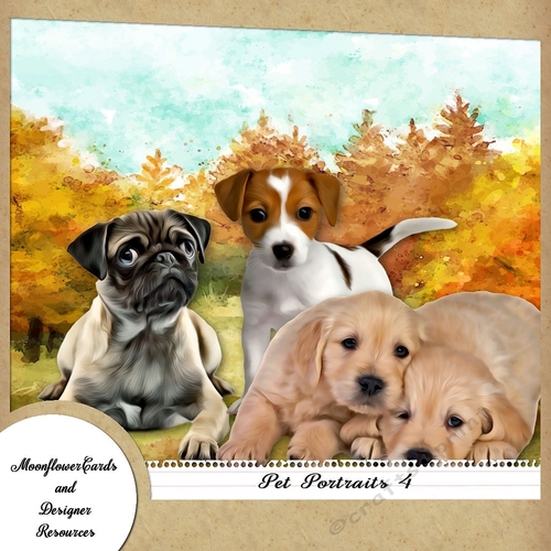 Dog Portraits 4