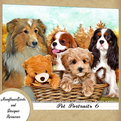 Dog Portraits 6