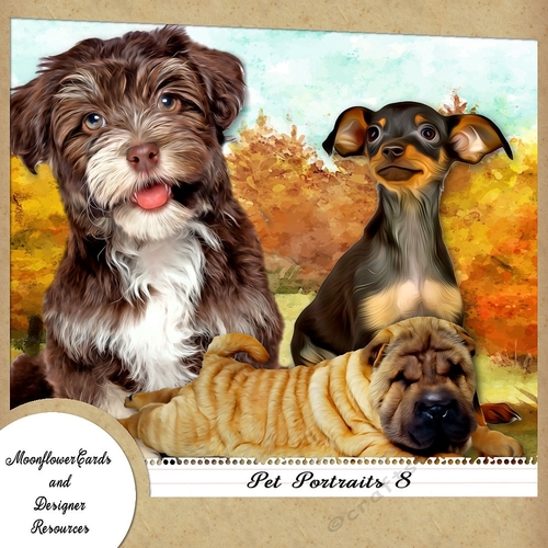 Dog Portraits 8