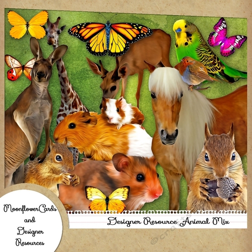 Designer Rsource Animal Mix