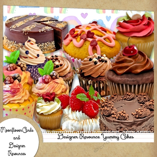 Designer Rsource Yummy cakes
