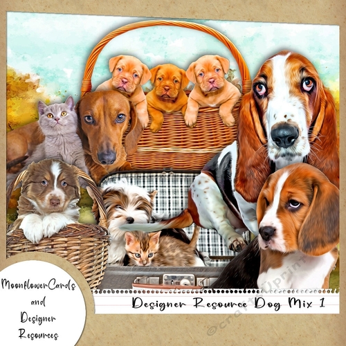 Designer Rsource Dog Mix 1 