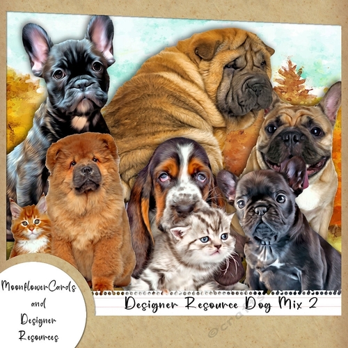 Designer Rsource Dog Mix 1 
