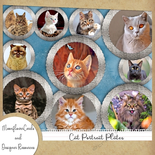 Cat Portrait Plates