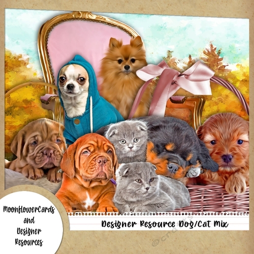 Designer Resources Dog Mix 