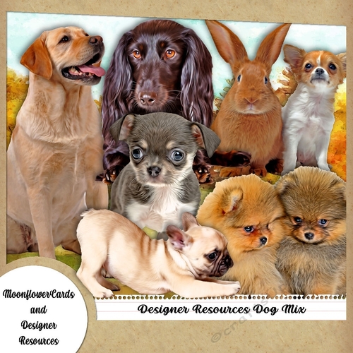 Designer Resources Dog Mix 