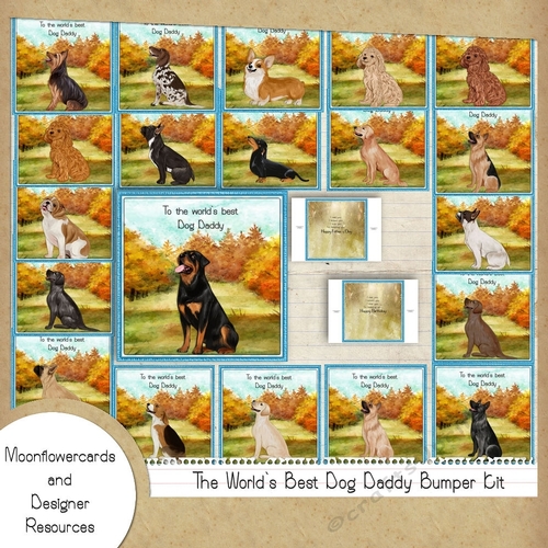  The World`s best Daddy From the Dog   Bumper kit 