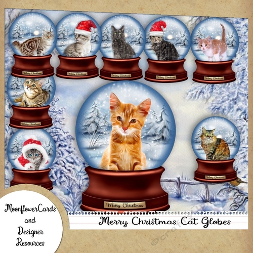 Christmas Cat Snow Globes