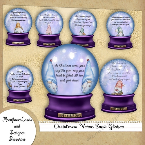 Christmas Verse  Snow Globes