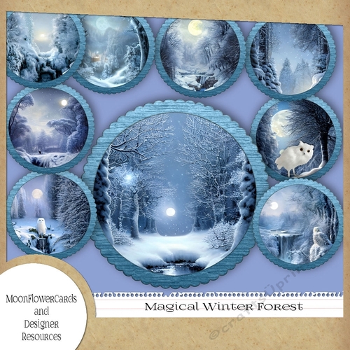 Magic Winter Forest Scene 