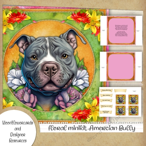 floral minikit Amercian Bully