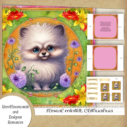 floral minikit Chihuahua