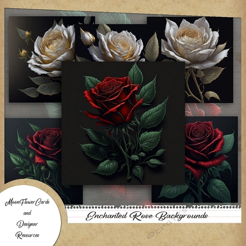 Enchanted Roses Backgrounds