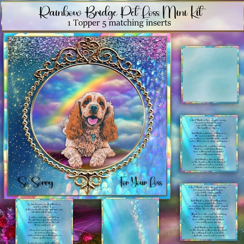 Rainbow Bridge Pet Loss American Cocker Spaniel 