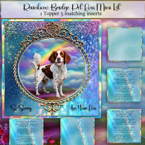 Rainbow Bridge Pet Loss Brittany