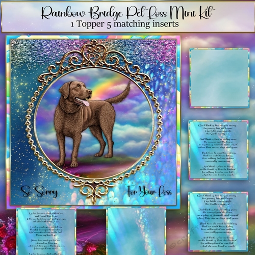 Rainbow Bridge Pet Loss Chesapeake bay retriever