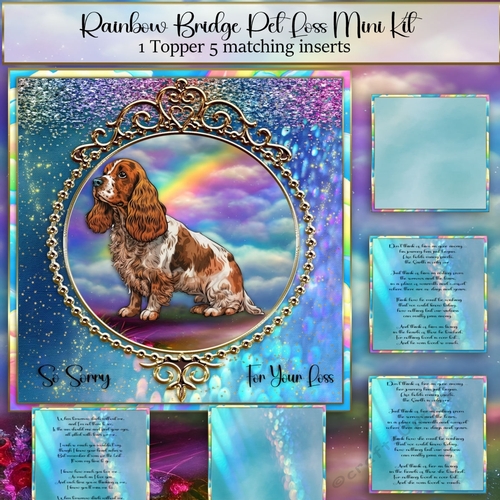 Rainbow Bridge Pet Loss English cocker spaniel