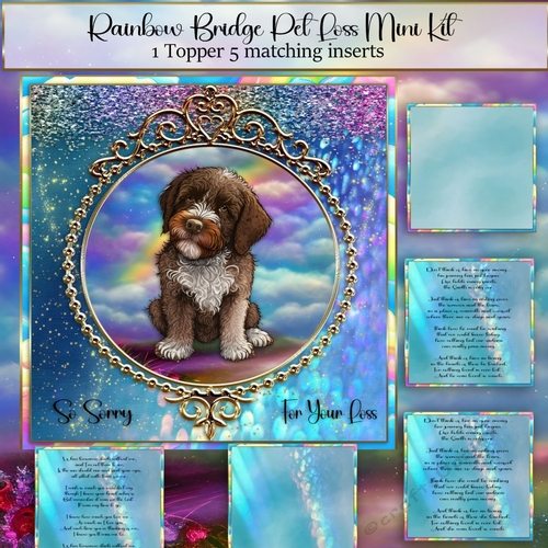 Rainbow Bridge Pet Loss Lagotto romagnolo