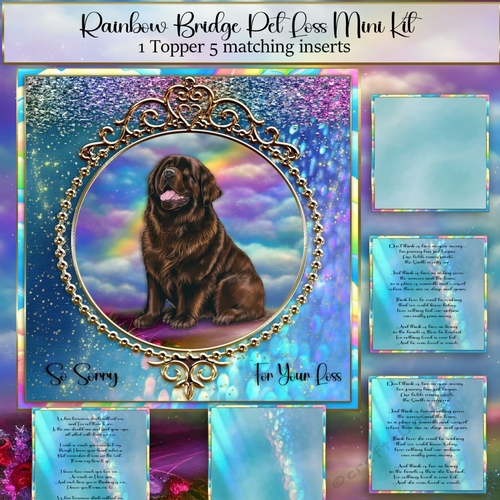 Rainbow Bridge Pet Loss Newfoundland 