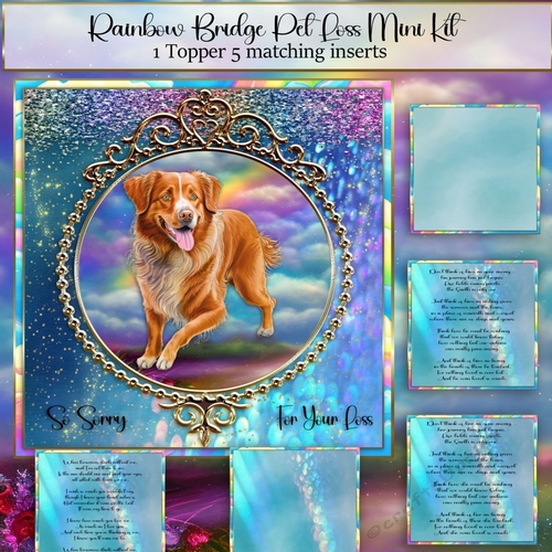 Rainbow Bridge Pet Loss Nova scotia duck tolling retriever