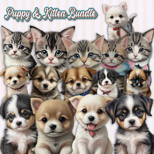 Kitten and Puppy Bundle 