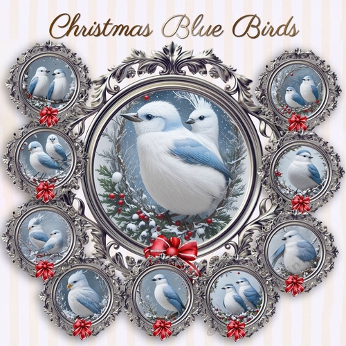 Christmas Blue Bird 