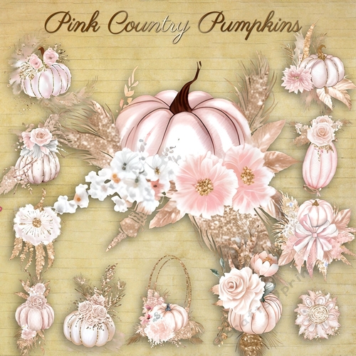 Country Pink Pumpkins