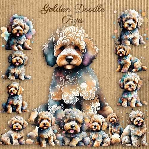 Golden Doole Pups 