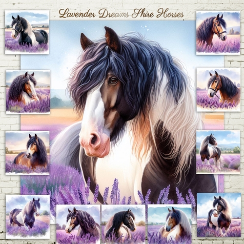 Lavender Dreams Shire Horses