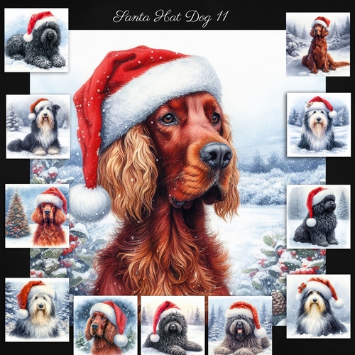 Santa Hat Dogs 11