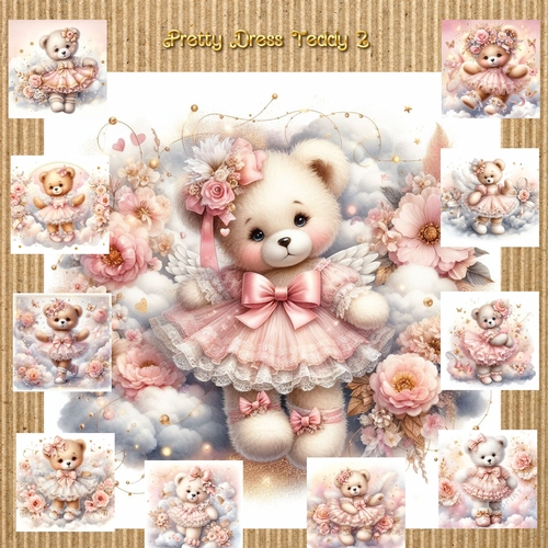 Pretty Dress Teddy 2