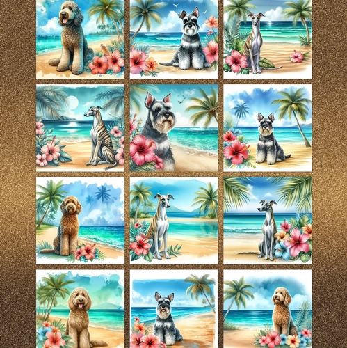 Hibiscus Beach Dogs 4